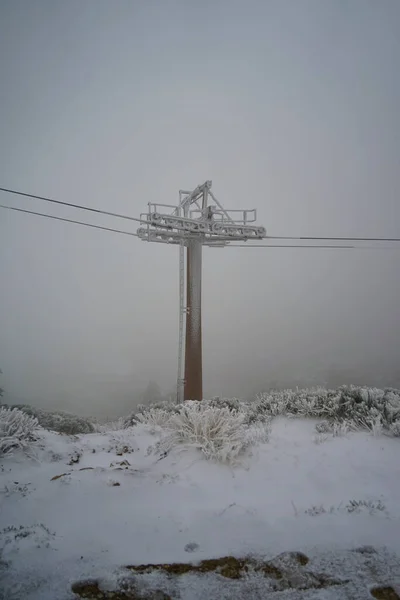 Electric Pole Winter Field Gloomy Day — Stok fotoğraf