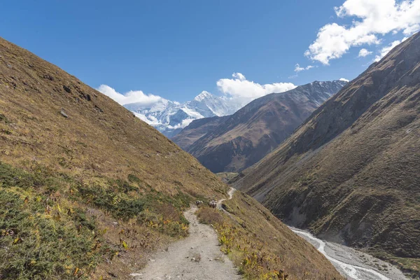 Majestic View Snow Capped Mountains Annapurna Conservation Area Chhusang Nepal — Stock fotografie