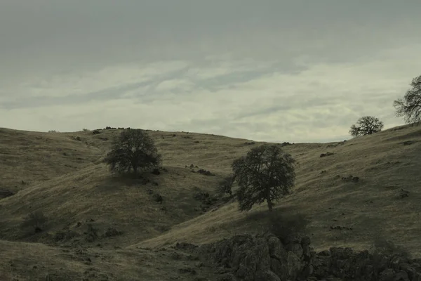 Beautiful View Hills Dry Trees Gray Sky Northern California Tahoe — Fotografia de Stock