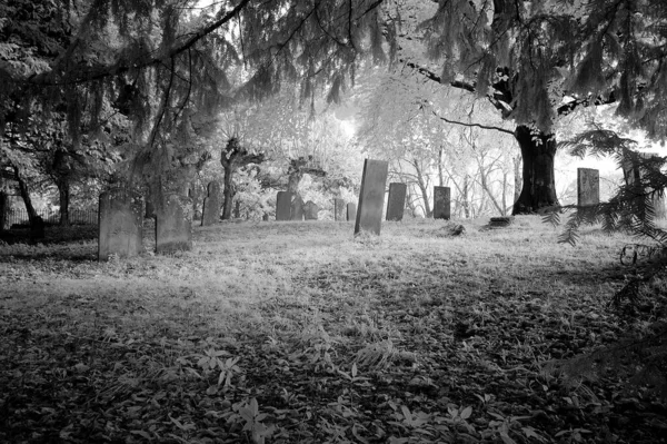 Grayscale Shot Old Graveyard Park — Stock Photo, Image
