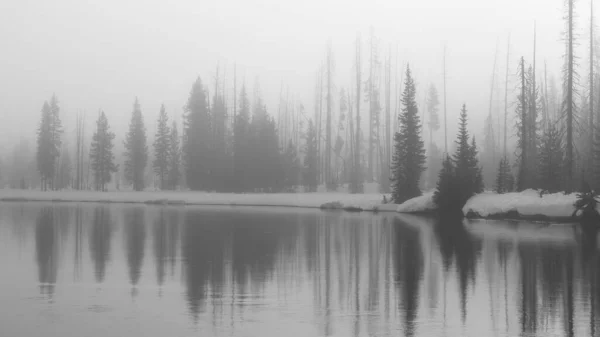 Paysage Niveaux Gris Dans Wyoming Parc National Yellowstone Hiver — Photo