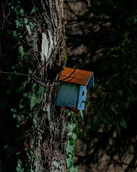 Tiro Vertical Uma Caixa Birdhouse Uma Árvore Uma Floresta Beira — Fotografia de Stock