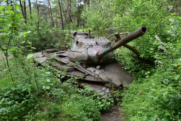 Train Wreck Brander Forest Aachen Germany — Fotografia de Stock