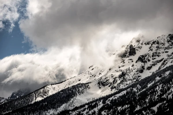 Montanhas Nevadas Wyoming Parque Nacional Grand Teton — Fotografia de Stock