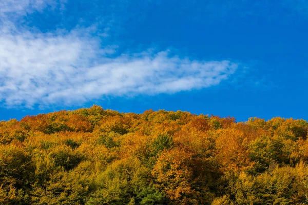 Uma Vista Aérea Árvores Coloridas Outono Uma Encosta Sob Azul — Fotografia de Stock