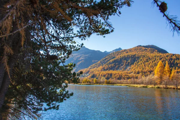 Mesmerizing View Calm Lake Surrounded Trees Mountains — Stock Photo, Image