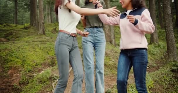 Grupo Amigas Pasando Tiempo Juntas Bosque — Vídeos de Stock