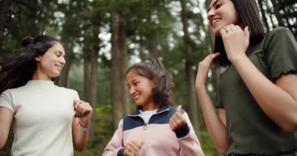 Groupe Amies Passer Temps Ensemble Dans Forêt — Video