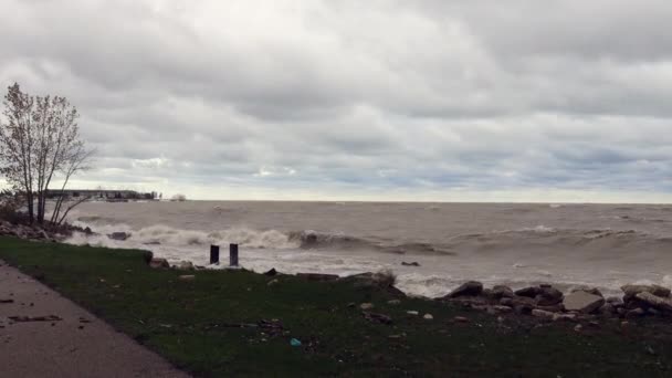 Een Prachtig Uitzicht Een Strand — Stockvideo