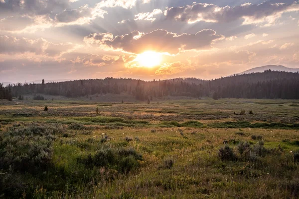 Beau Lever Soleil Lumineux Sur Une Prairie Verte — Photo