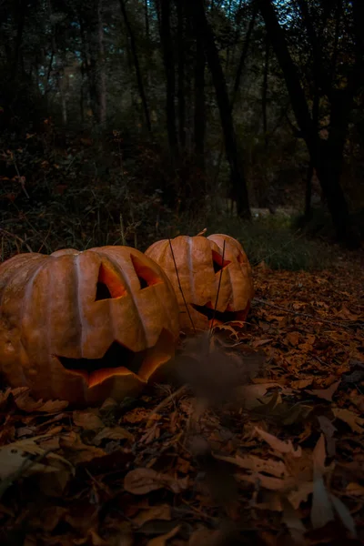 Detailní Záběr Halloweenských Dýní Zemi Podzimními Listy — Stock fotografie