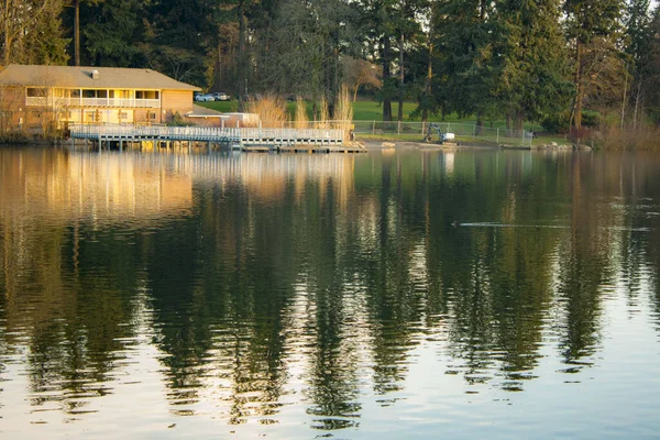Krásný Výhled Jezero Obklopené Věčně Zelenými Stromy — Stock fotografie