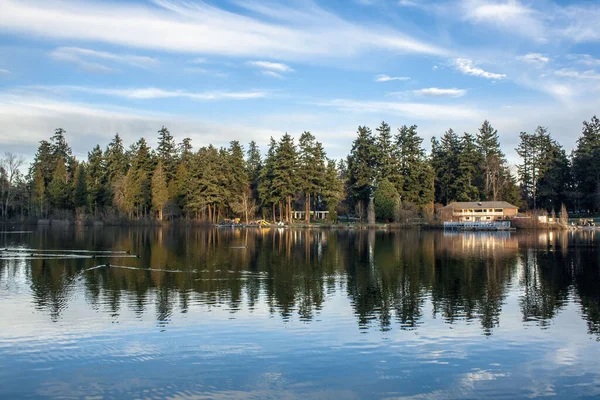 Uma Bela Vista Lago Cercado Por Árvores Sempre Verdes Sob — Fotografia de Stock