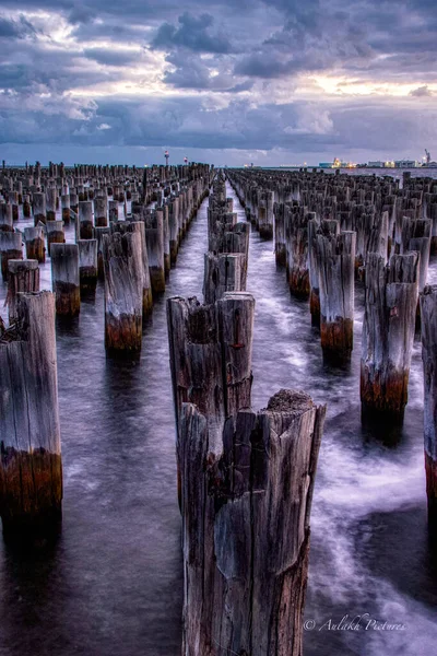 Overgebleven Houtpylonen Van Historische Princes Pier Melbourne Australië — Stockfoto