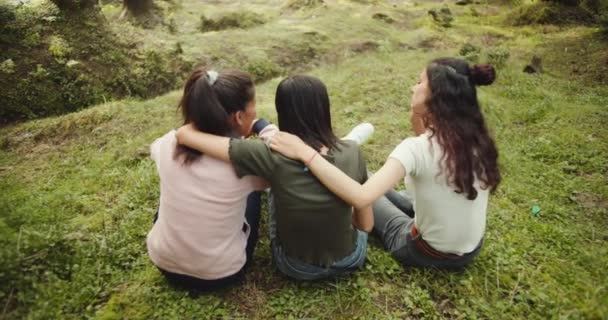 친구들 숲에서 시간을 보내고 — 비디오