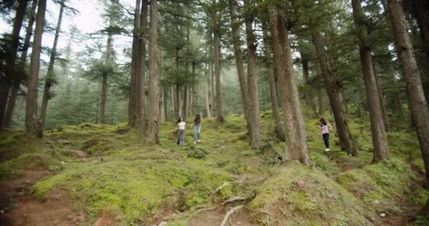 Gruppe Von Freundinnen Verbringt Zeit Zusammen Wald — Stockvideo