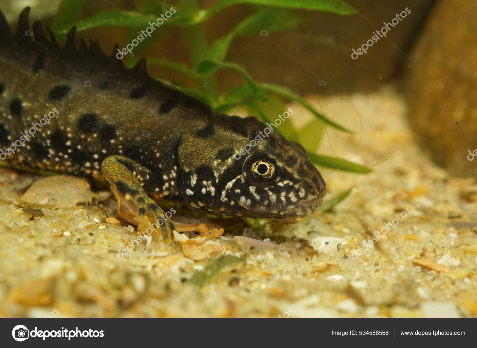 VKda xotinim bilan anal porno