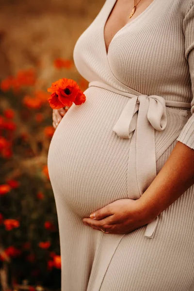 Těhotná Žena Stojící Mezi Kvetoucími Makovými Poli — Stock fotografie