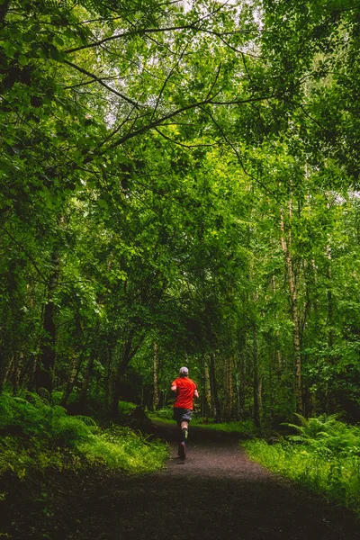 Człowiek Biegający Alejce Zielonym Świeżym Lesie — Zdjęcie stockowe