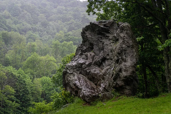 Big Rock Surrounded Green Vegetation Great Smoky Mountains National Park — Foto Stock