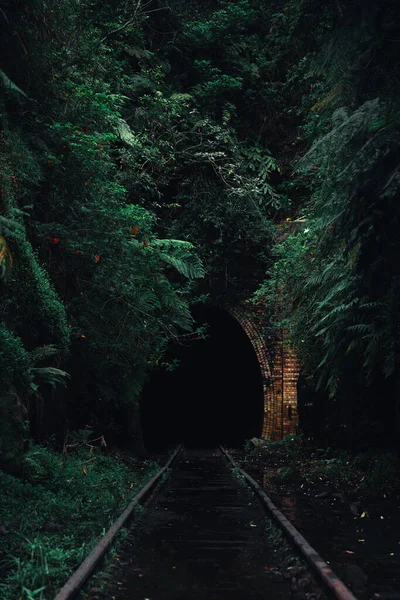 魔法の暗い森の中でトンネルに行く鉄道の垂直ショット — ストック写真