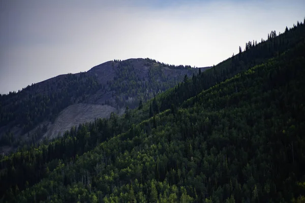 Landscape Forested Mountains Evening — Stockfoto