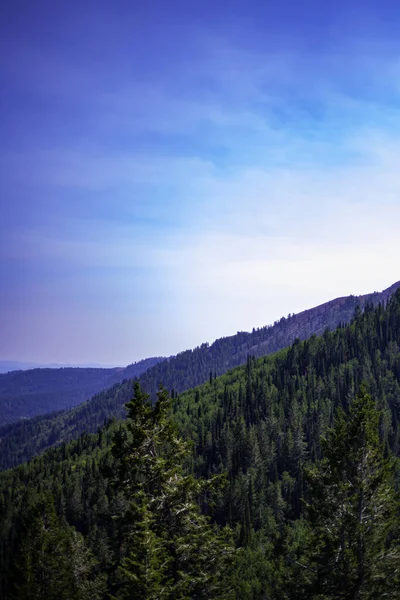 Uma Paisagem Montanhas Florestadas Sob Céu Azul — Fotografia de Stock