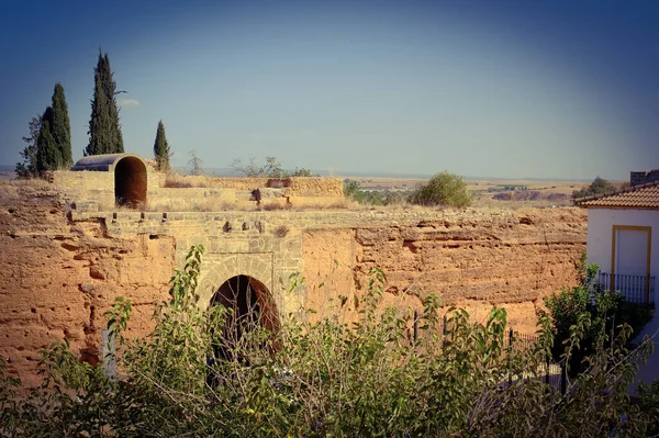 Snímek Antických Městských Hradeb Rostlinami Vpředu Huelvě Andalusii Španělsku — Stock fotografie