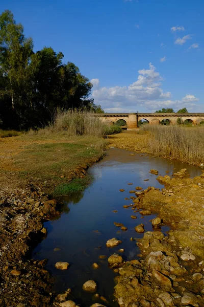Beau Cliché Pont Romain Huelva Arrière Étang Andalousie Espagne — Photo