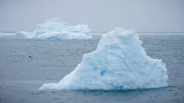 Grandes Icebergs Océano Día Sombrío Antártida — Foto de Stock