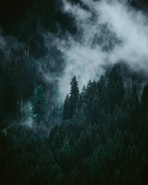 Vertical Shot Hills Covered Forests Fog Gloomy Day — Stockfoto