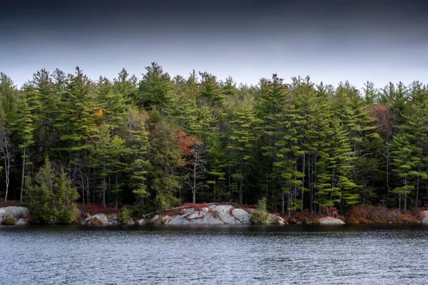 Hermosa Vista Orilla Del Lago Con Árboles Verdes New Hampshire — Foto de Stock