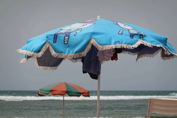 해변에 우산을 클로즈업 — 스톡 사진
