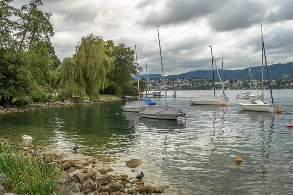 Curich Švýcarsko Října 2021 Pohled Jezero Curych Plachetnicemi Přístavu Uetliberg — Stock fotografie