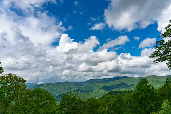 Yeşil Dağların Güzel Manzarası Great Smoky Dağları Ulusal Parkı Abd — Stok fotoğraf