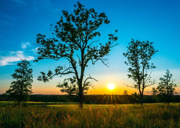 Gün Batımında Ağaçları Olan Güzel Bir Manzara — Stok fotoğraf