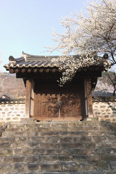 Plano Vertical Bajo Ángulo Entrada Templo Coreano Bajo Cielo Despejado — Foto de Stock