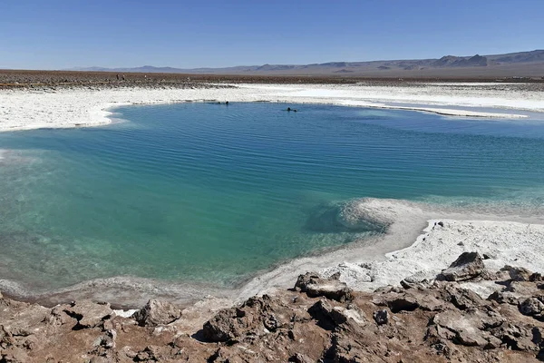 Piękny Widok Błękitne Jezioro Pustyni Atacama Chile — Zdjęcie stockowe