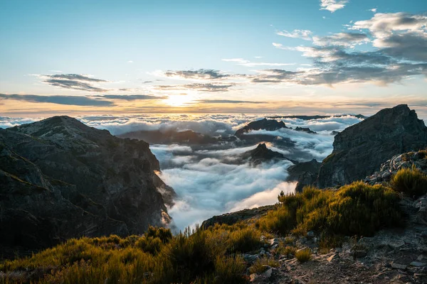 포르투갈 마데이라 의산들 — 스톡 사진
