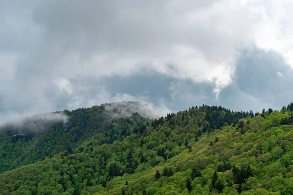 Beautiful View Green Mountains Great Smoky Mountains National Park Usa — Foto Stock