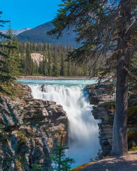 Machtige Athabasca Falls Canada Ochtend — Stockfoto