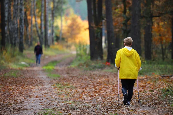 Zadní Pohled Pěší Ženu Kráčející Podzimním Lesem Směrem Samci Přicházejícímu — Stock fotografie