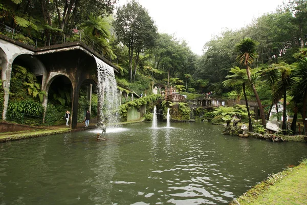 Jardim Botanico Madeira Funchal Botanical Garden Maderia Portugal — стокове фото