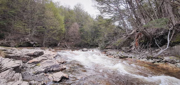 Flowing River Forest Spring — Fotografia de Stock