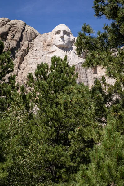 Black Hills Förenade Staterna Okt 2021 Vertikal Bild George Washington — Stockfoto