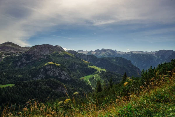 ドイツ ベルクテスガーデンの緑に覆われた丘や山脈の美しいショット — ストック写真