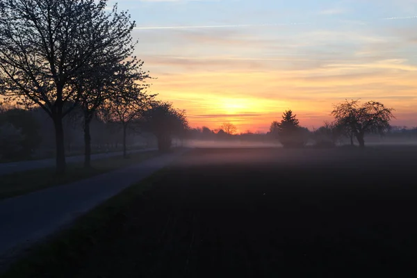 Fascinating Colorful Sunset Road — Fotografia de Stock