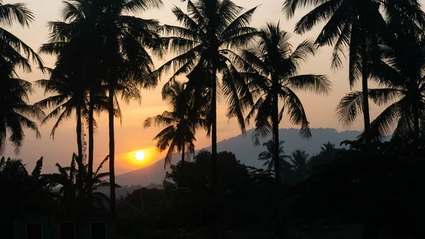 Παλάμες Στο Ηλιοβασίλεμα Στην Παραλία Anyer Στο Banten Ινδονησία — Φωτογραφία Αρχείου