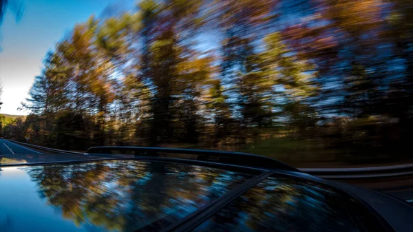Car Top Glass Reflects Forest — Stock Photo, Image