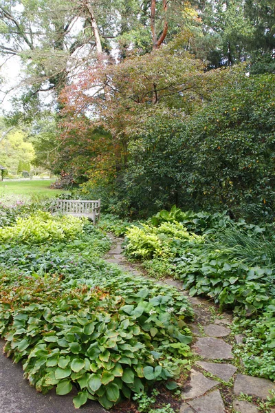 Vertical Shot Beautiful Garden Filled Lush Greenery Bright Summer Day — Fotografia de Stock